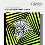 Coliseum Not Fake